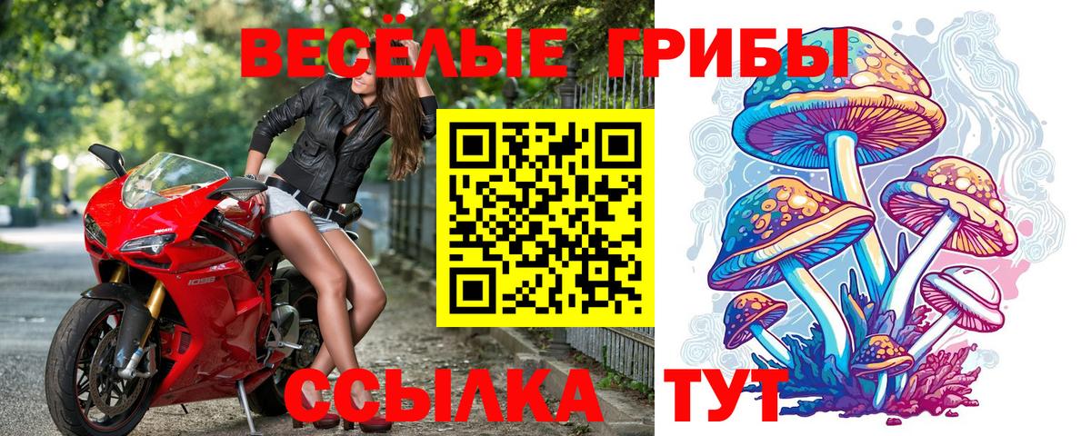 Псилоцибиновые грибы ЛСД  Псилоцибиновые грибы Cubensis  Жуковский  Вход с VPN 