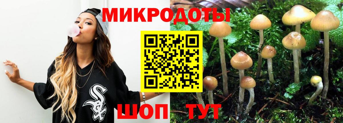 Гашиш Жуковский